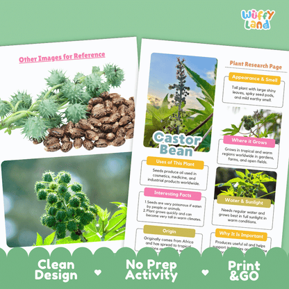 Castor Bean Plant Research Page Worksheets and Fact Sheet