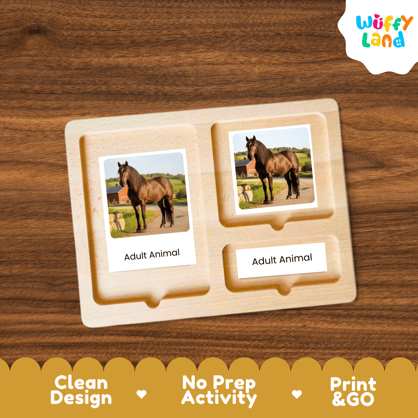 Horse Life Cycle Montessori 3-Part Cards - Science Zoology Flashcard