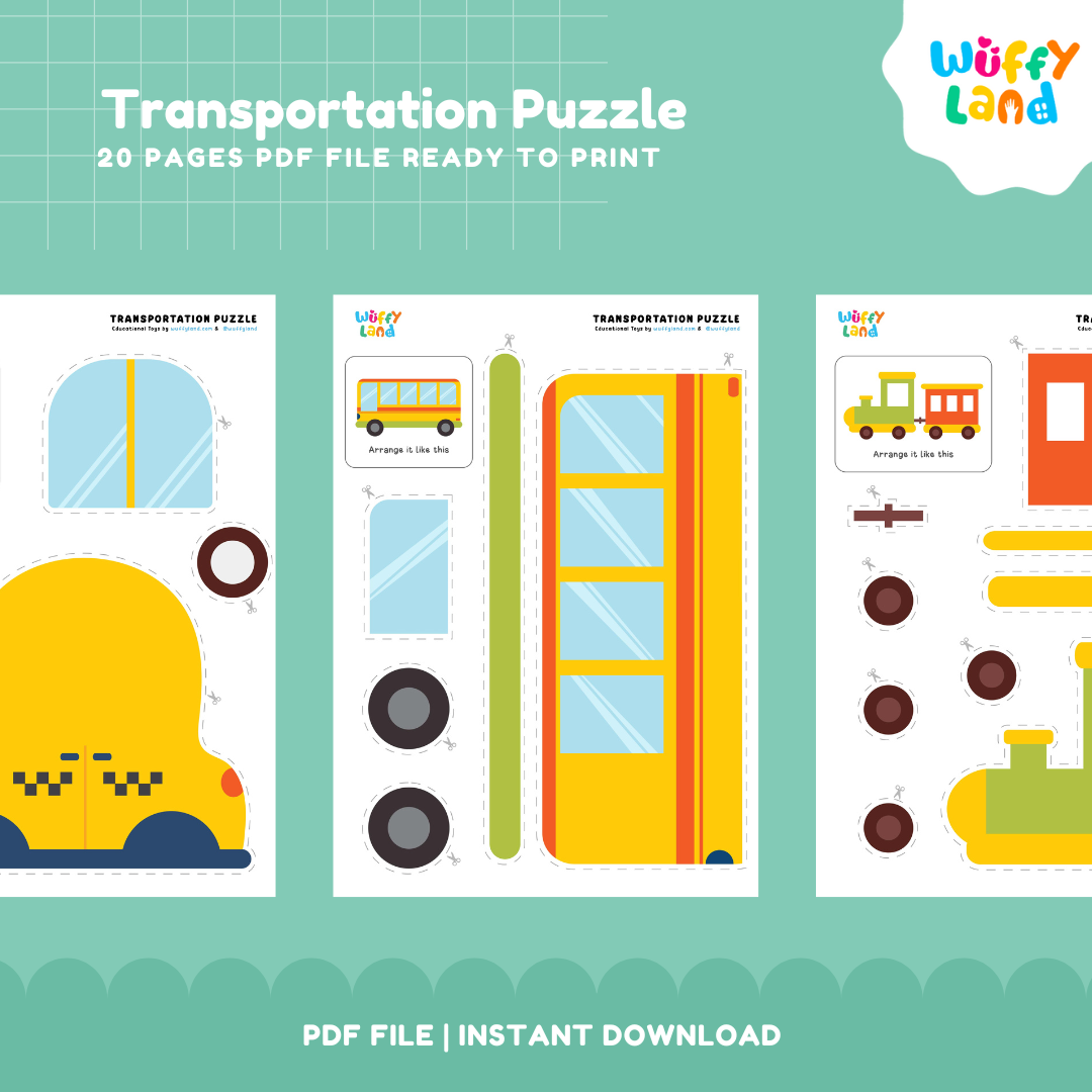 Transportation Puzzle