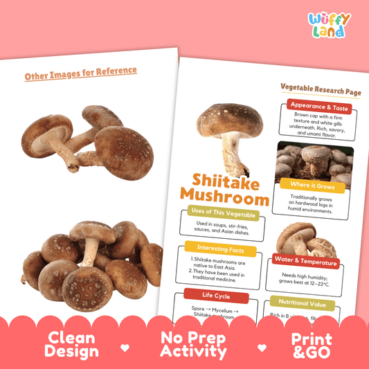 Shiitake Mushroom Vegetable Research Activity Worksheet Healthy Eating Science