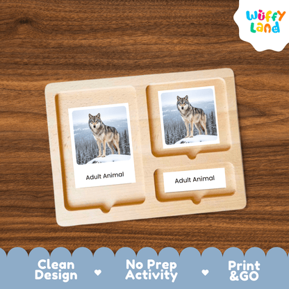 Wolf Life Cycle Montessori 3-Part Cards - Science Zoology Mammal Flashcards