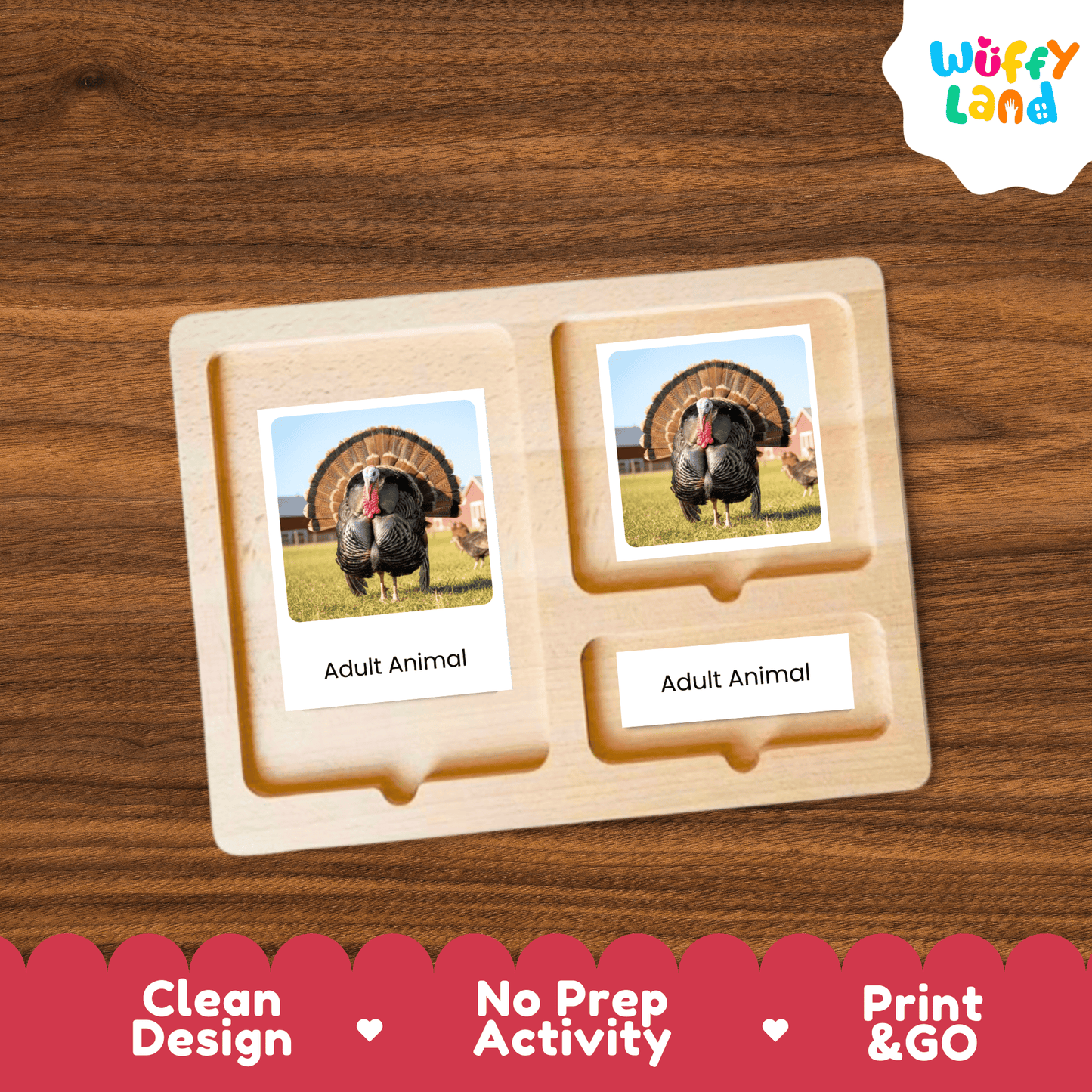 Turkey Life Cycle Montessori 3-Part Cards - Science Zoology Flashcards