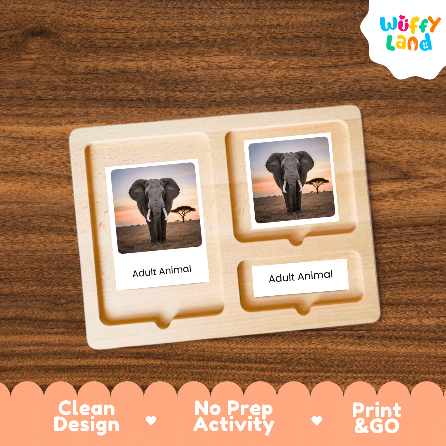 Elephant Life Cycle Montessori 3-Part Cards - Science Zoology Flashcards