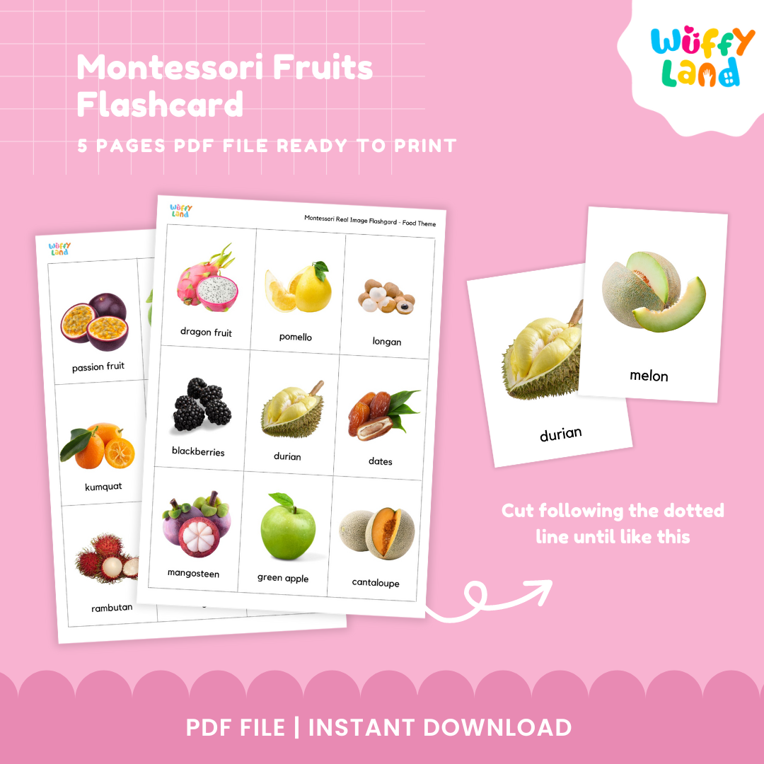 Montessori Fruits Flashcard