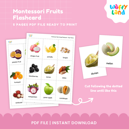 Montessori Fruits Flashcard