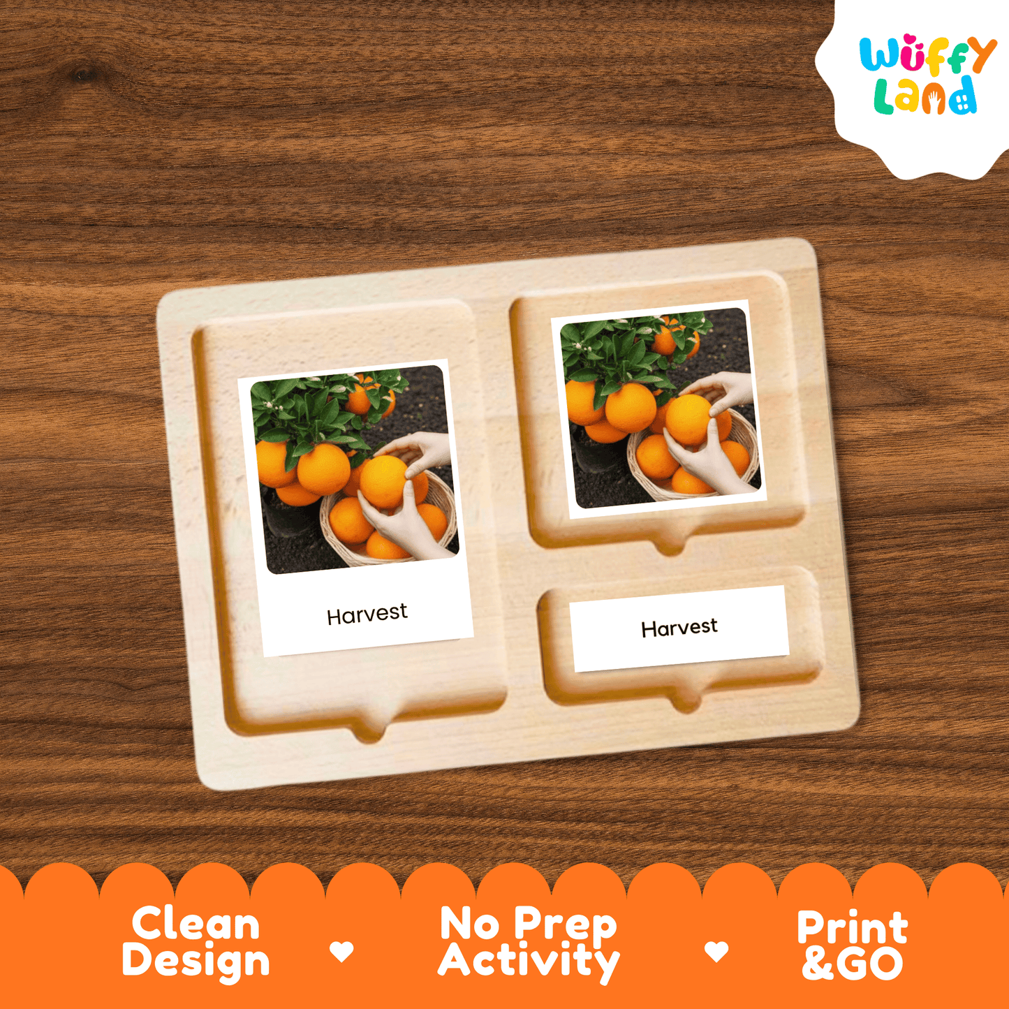Orange Life Cycle Montessori 3-Part Cards - Science Botany Flashcards