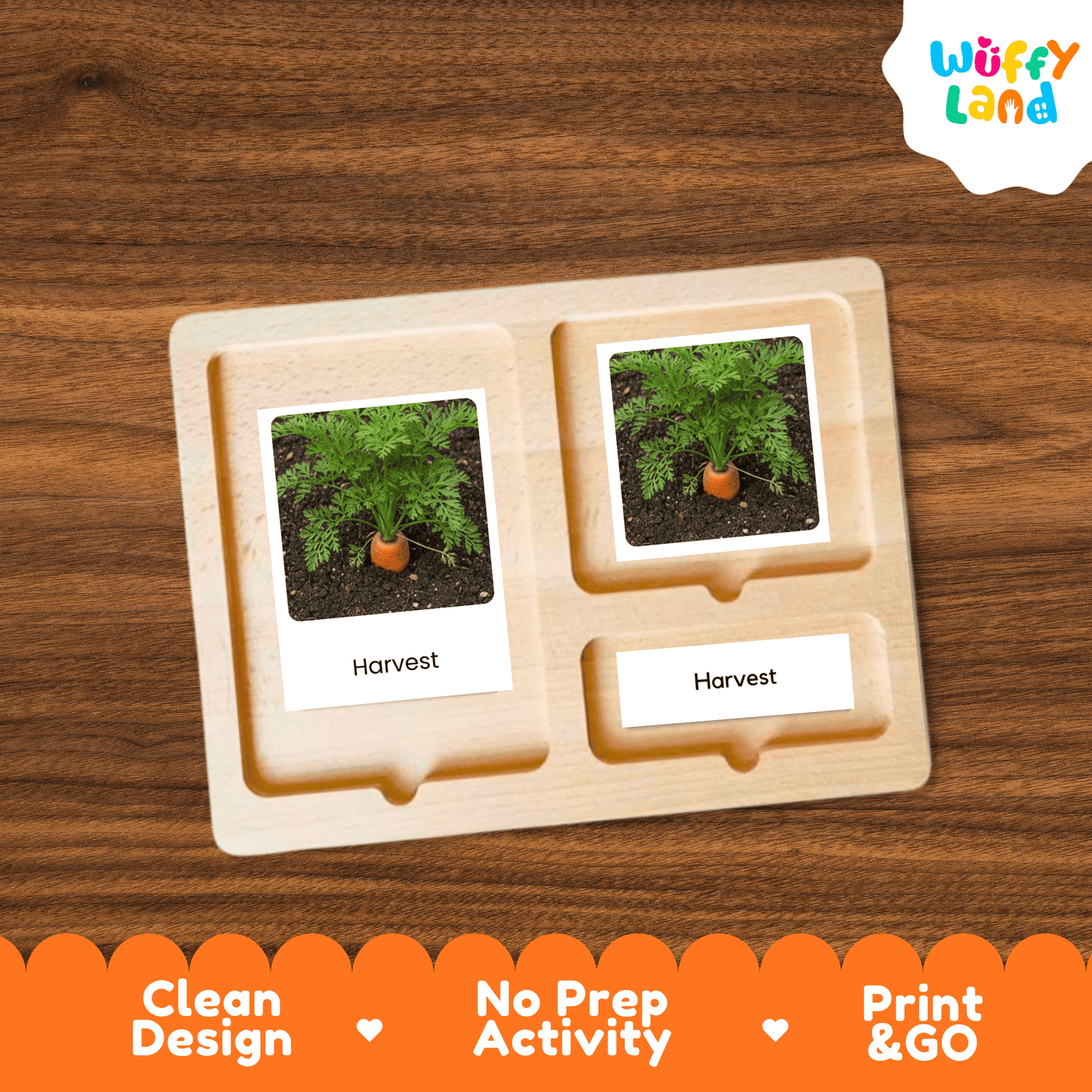 Carrot Life Cycle Flashcards Montessori 3 Part Cards Science Activity Garden