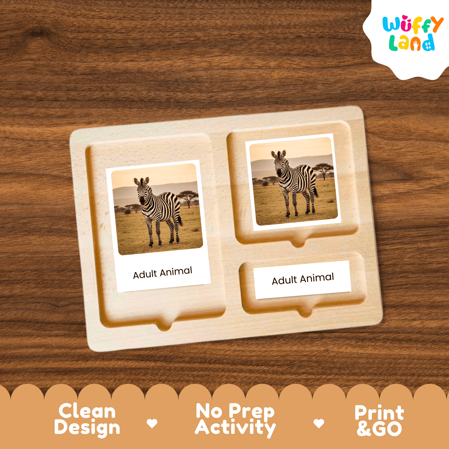 Zebra Life Cycle Montessori 3-Part Cards - Science Zoology Mammal Flashcards