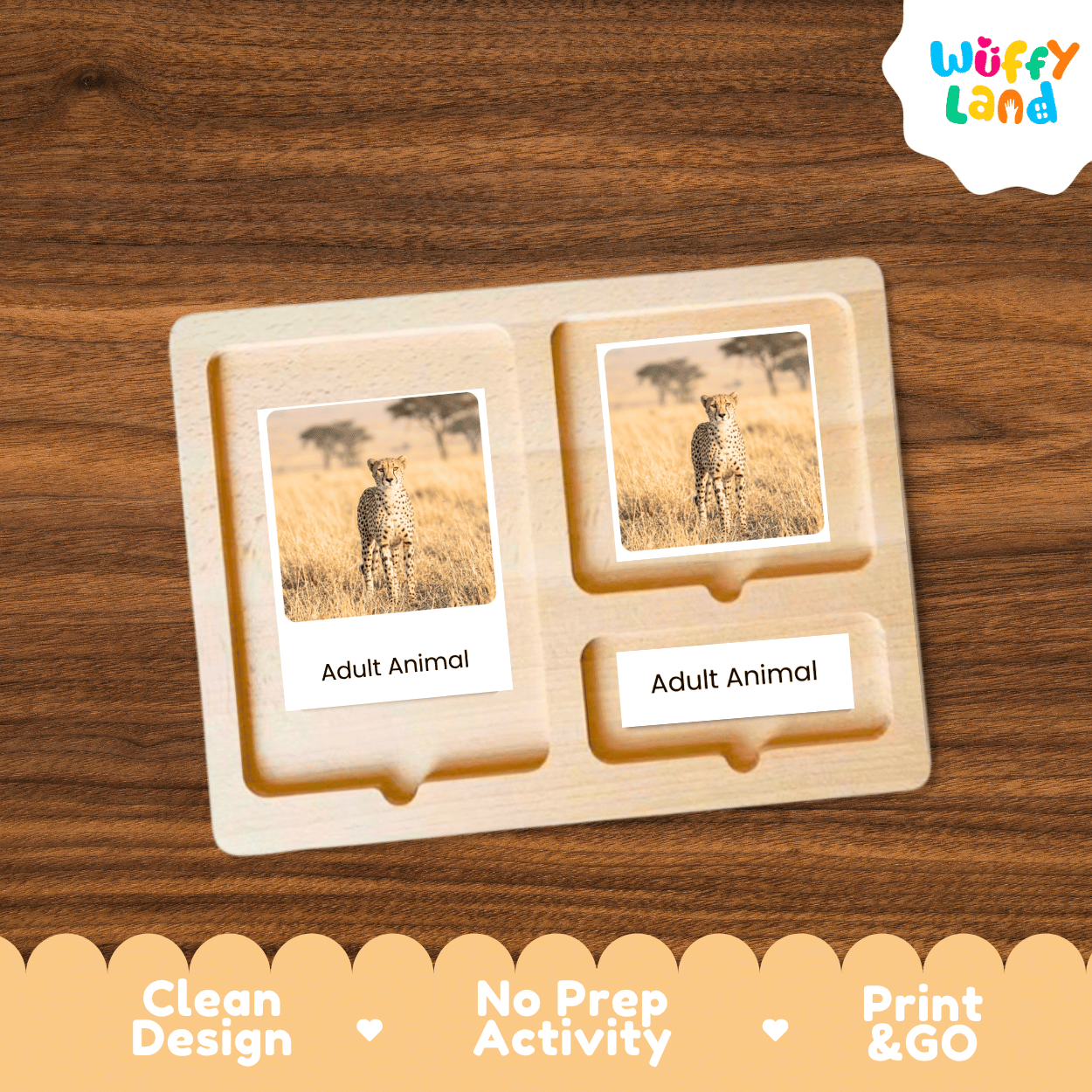 Cheetah Life Cycle Flashcards | Montessori 3 Part Cards Mammal Activity