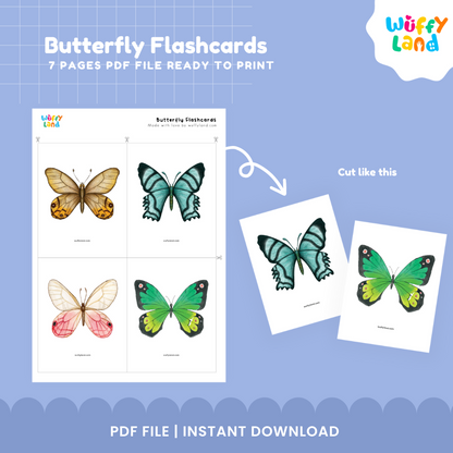 Butterfly Flashcards