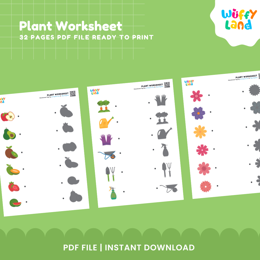 Plant Learning Worksheets for Kids - Printable Education Activities