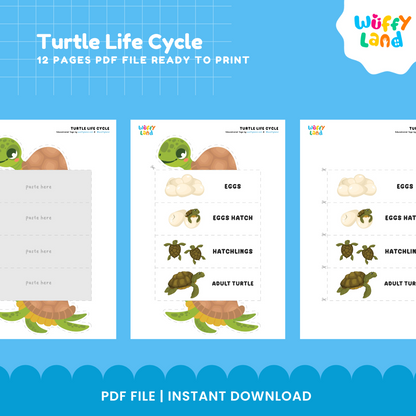 Turtle Life Cycle Educational - kids activities printable