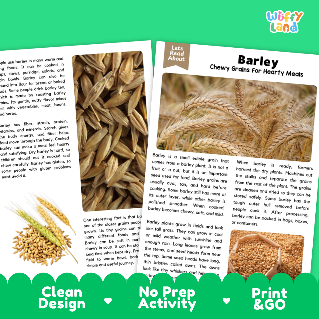 Barley Reading Passage and Comprehension Questions Worksheets with Answer Key