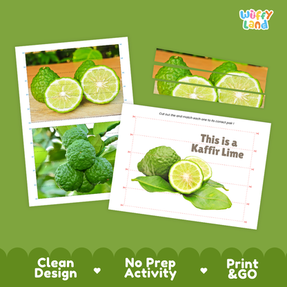 Kaffir Lime Cut and Match Activity Printable Set