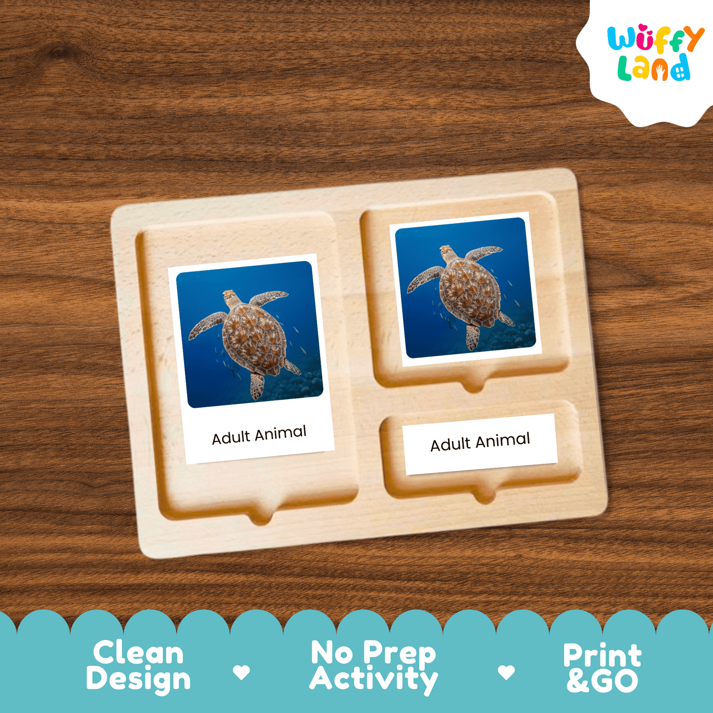 Turtle Life Cycle Montessori 3-Part Cards - Science Zoology Metamorphosis Flashcards