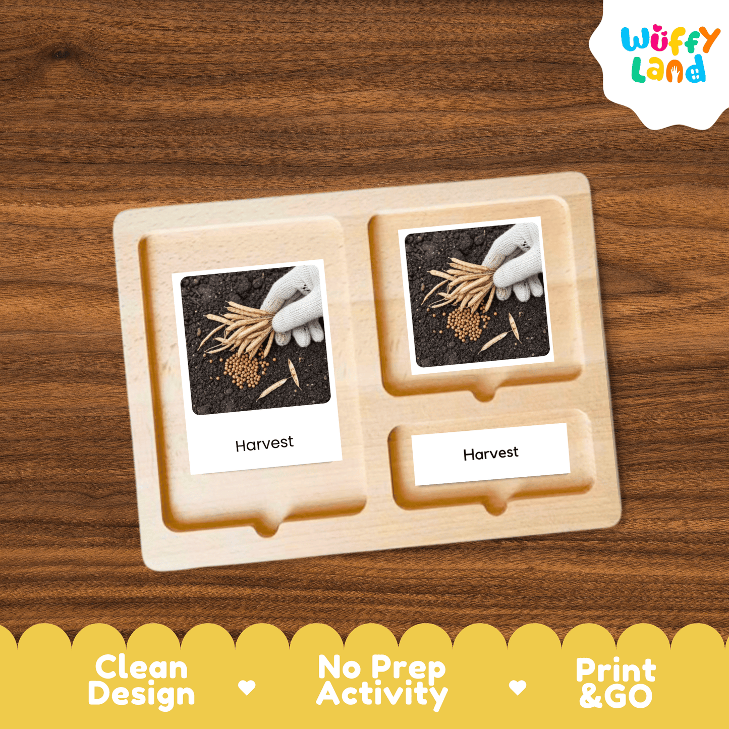 Mustard Life Cycle Montessori 3-Part Cards - Science Botany Flashcards
