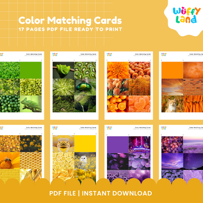 Color Matching Cards