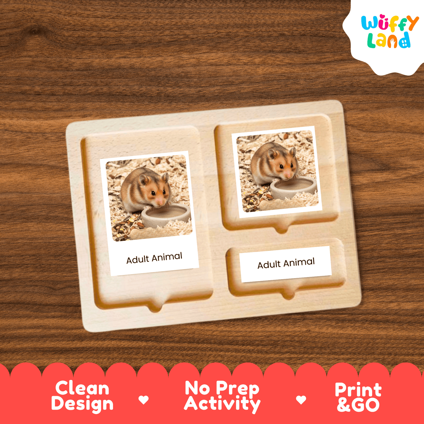 Hamster Life Cycle Montessori 3-Part Cards - Science Zoology Mammal Flashcards
