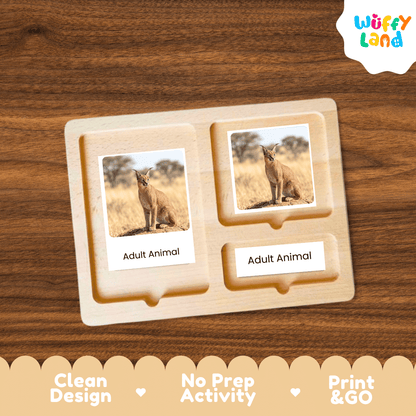 Caracal Life Cycle Flashcards | Montessori 3 Part Cards Mammal Activity
