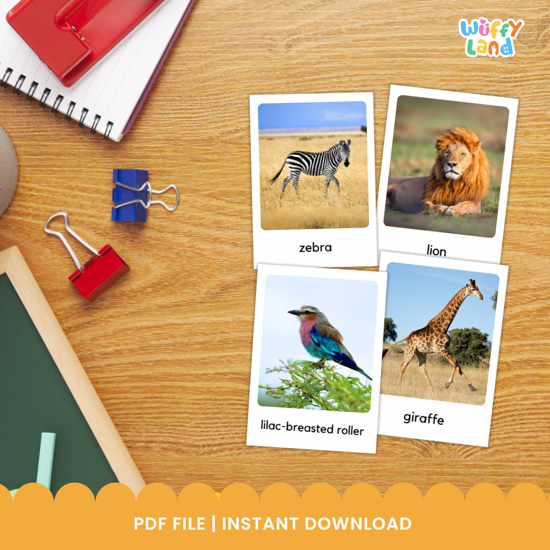 Kartu Flash Habitat Hewan Savana – 54 Hewan dengan Foto Asli