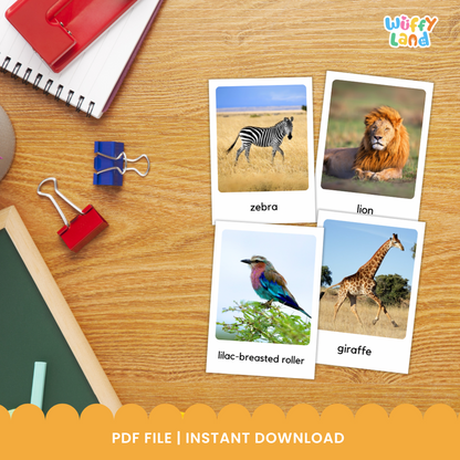 Kartu Flash Habitat Hewan Savana – 54 Hewan dengan Foto Asli