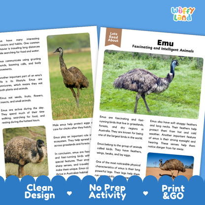 Emu Reading Passage and Questions Worksheets with Answer Key