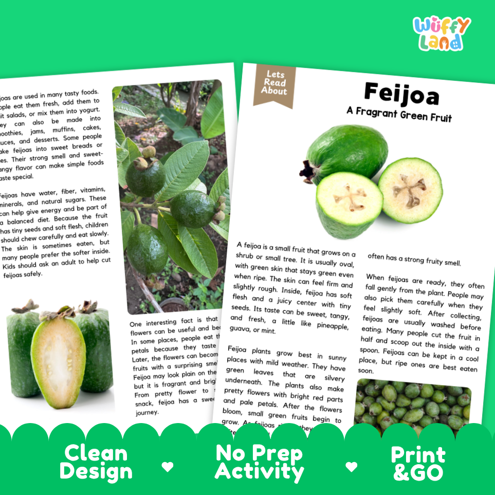 Teacher answer key page showing complete question solutions for Feijoa nature and science reading comprehension practice