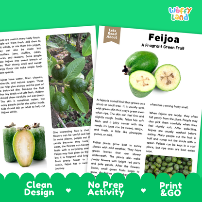 Teacher answer key page showing complete question solutions for Feijoa nature and science reading comprehension practice