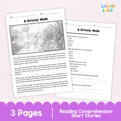 A Drizzly Walk Reading Comprehension Passage and Questions Worksheets