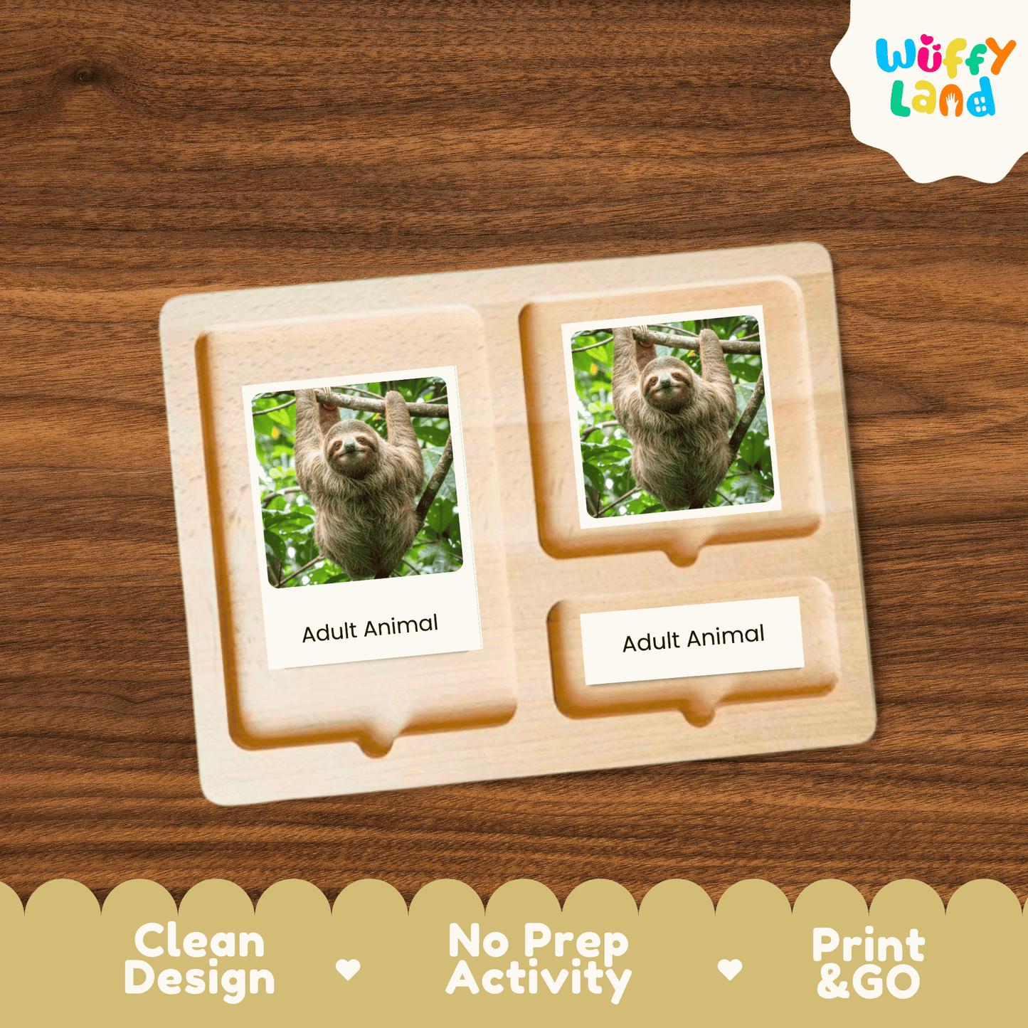 Sloth Life Cycle Montessori 3-Part Cards - Science Zoology Mammal Flashcards