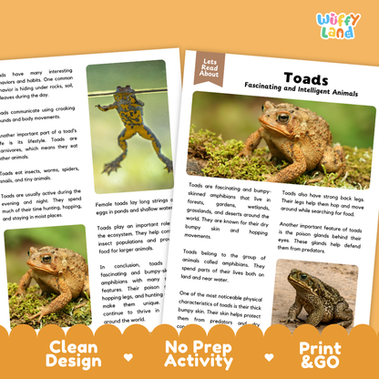 Toad Reading Passage and Comprehension Questions Worksheets with Answer Key