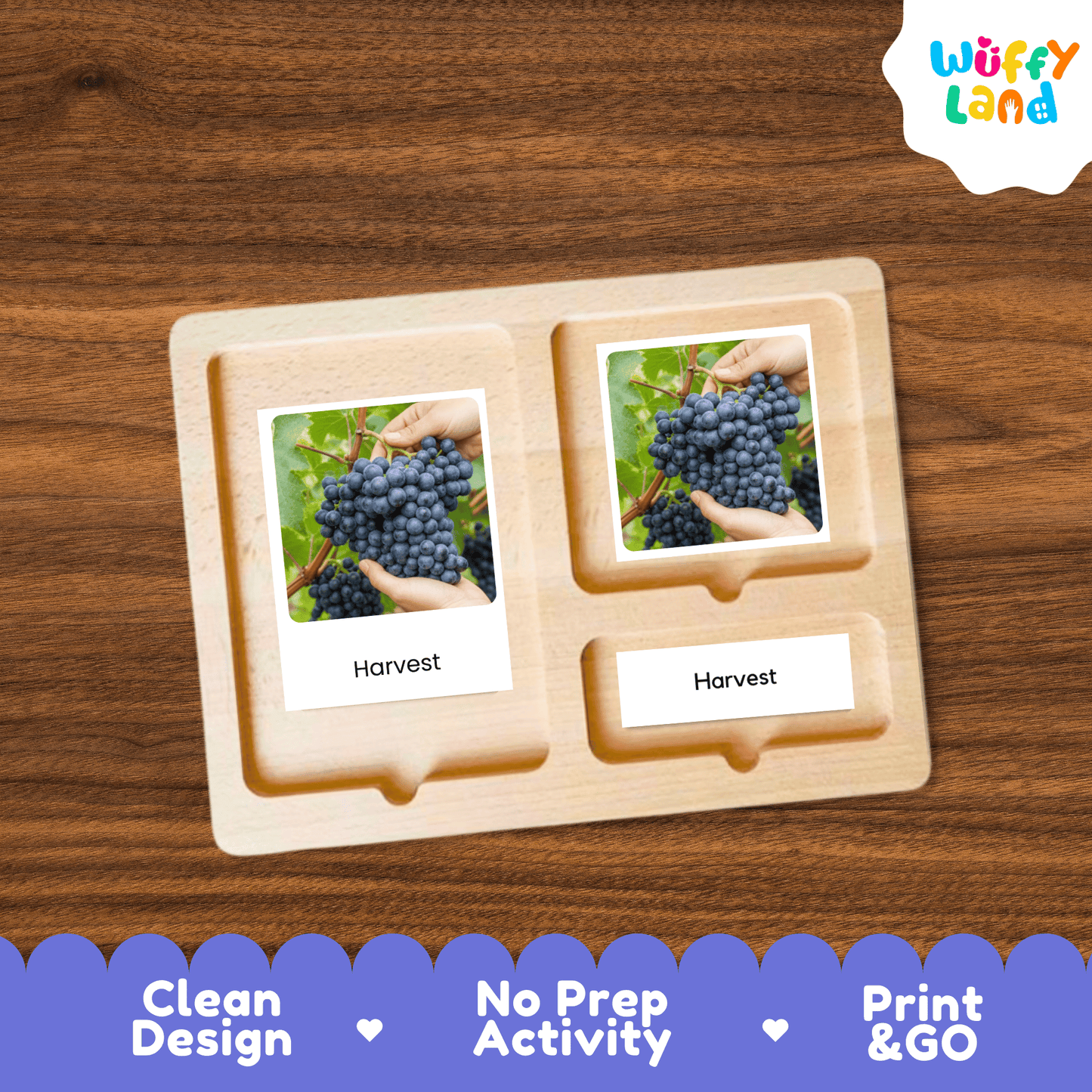 Grapes Life Cycle Montessori 3-Part Cards - Science Botany Flashcards