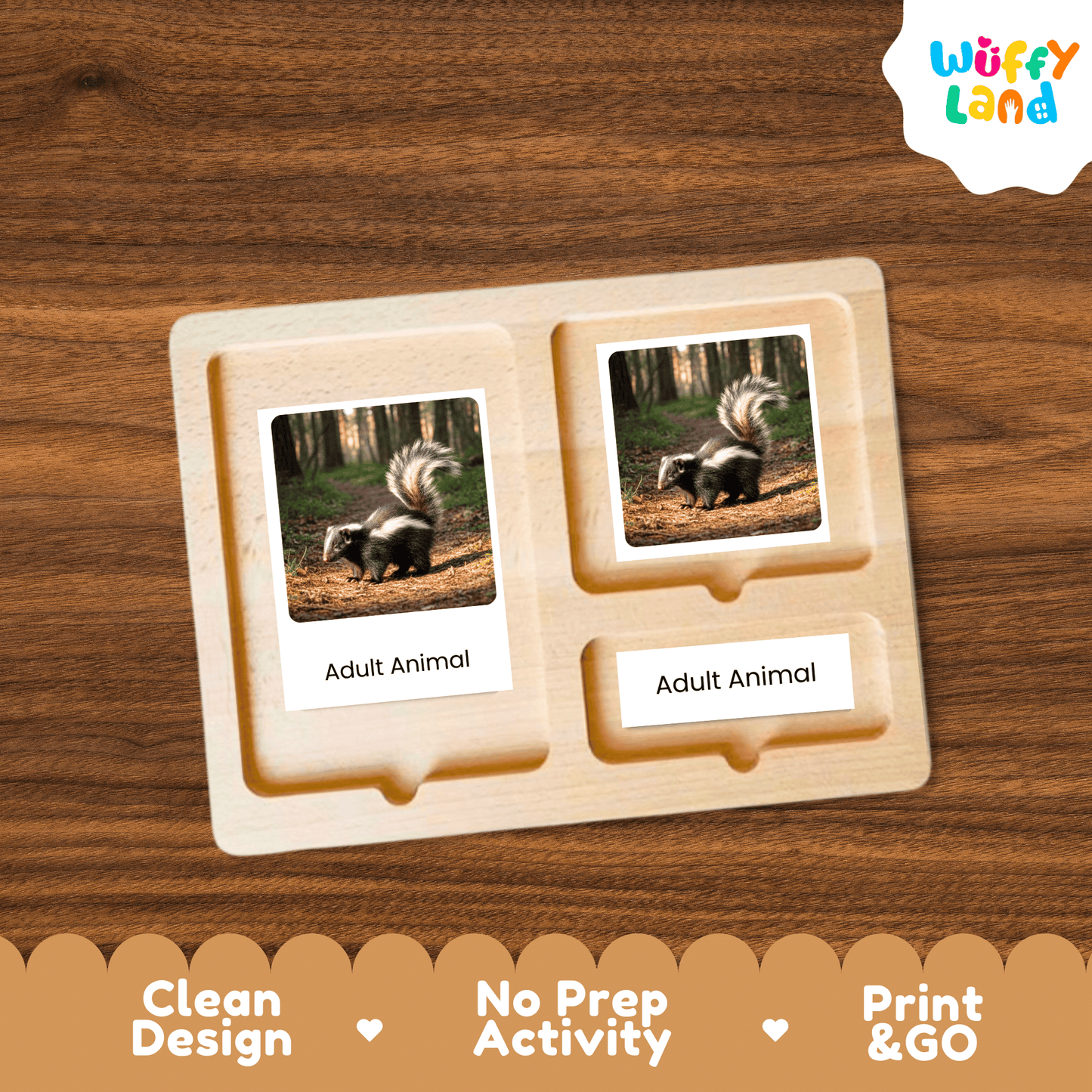 Skunk Life Cycle Montessori 3-Part Cards - Science Zoology Mammal Flashcards