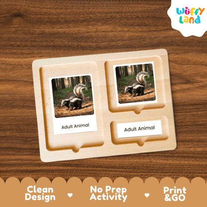 Skunk Life Cycle Montessori 3-Part Cards - Science Zoology Mammal Flashcards