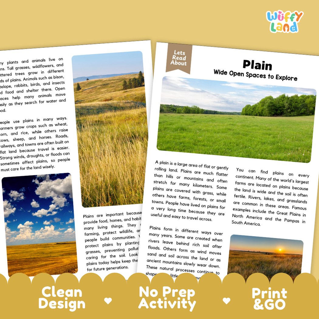 Plain Reading Passage and Comprehension Questions Worksheets Landforms