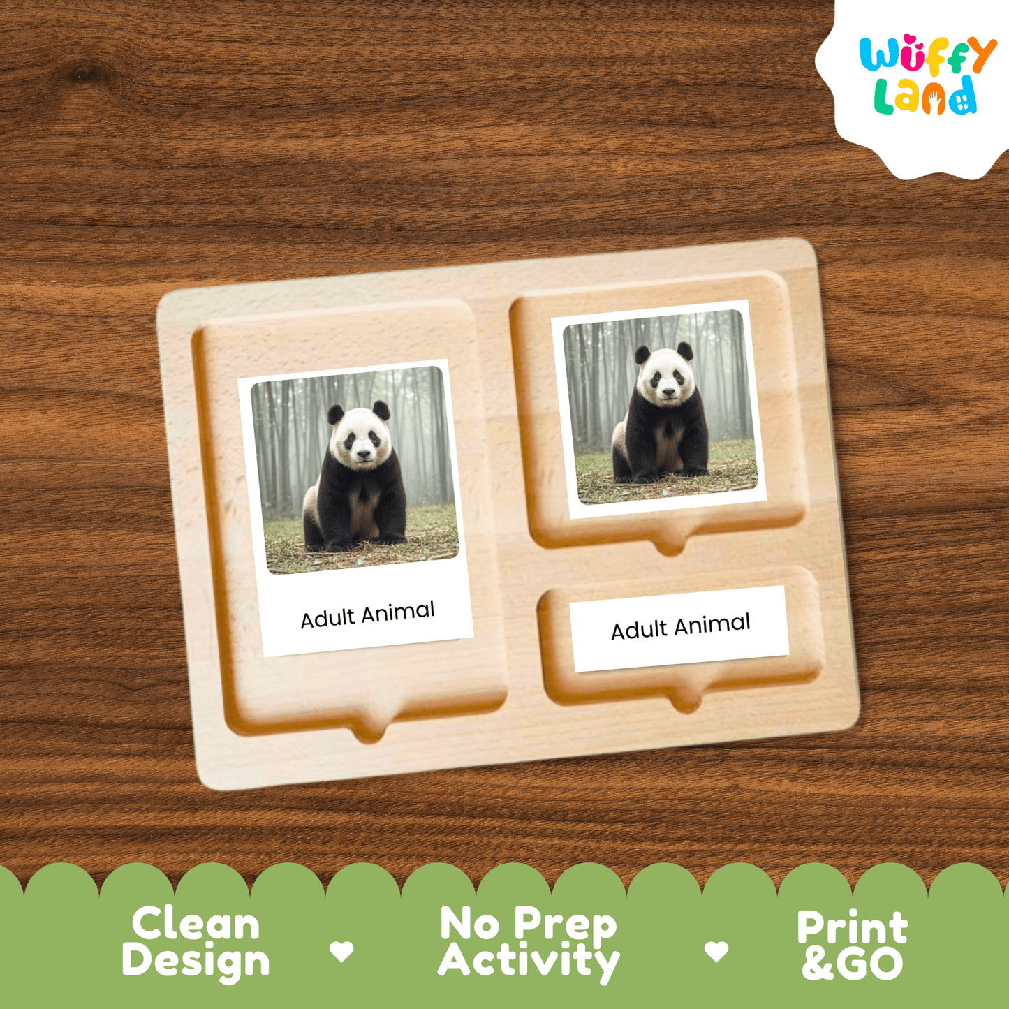 Panda Life Cycle Montessori 3-Part Cards - Science Zoology Mammal Flashcards