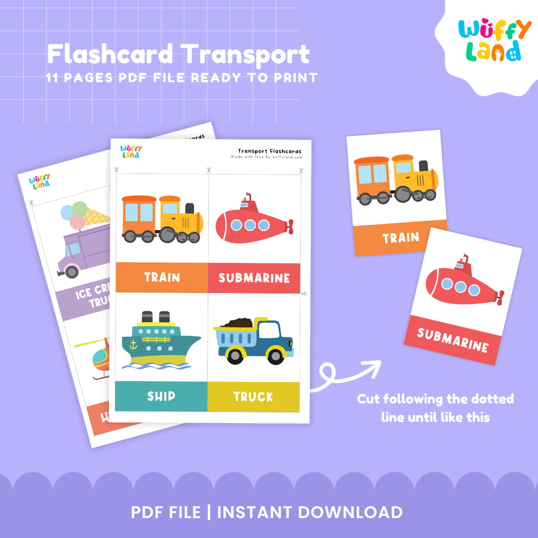 Flash card Transport