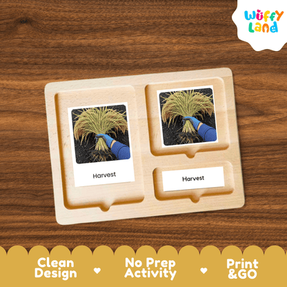 Rice Life Cycle Montessori 3-Part Cards - Science Botany Flashcards