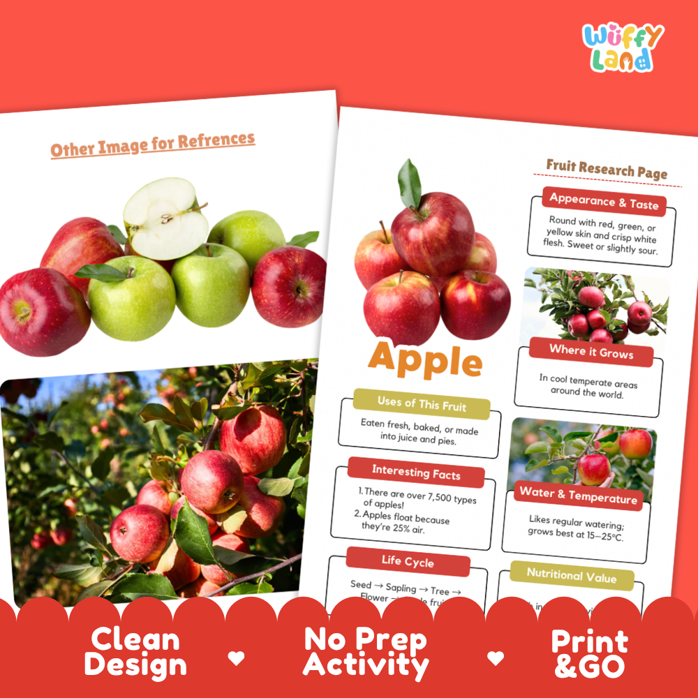 Apple Fruit Research Page Worksheets and Fact Sheet