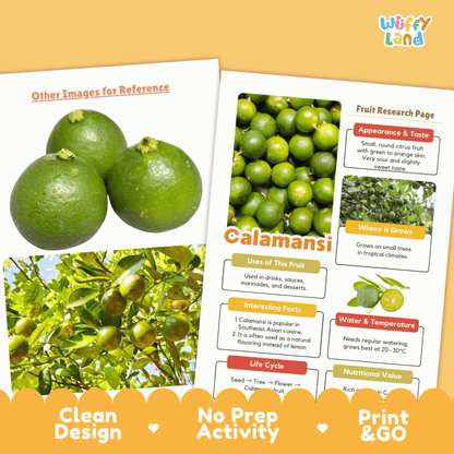 Calamansi Science Activity | Fruit Research Project | Citrus Nature Study Print