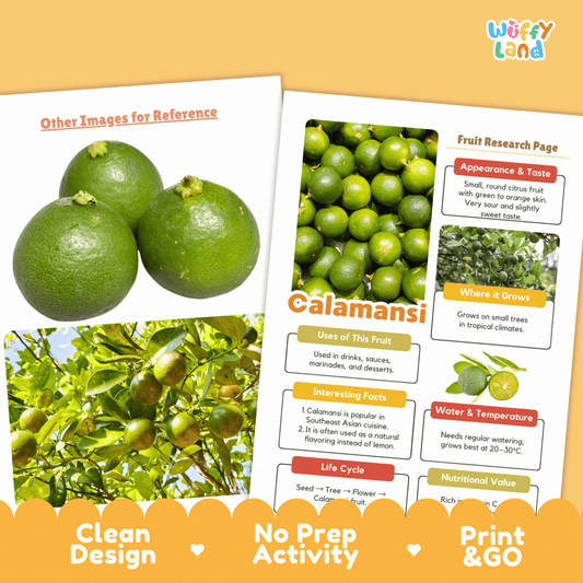 Calamansi Science Activity | Fruit Research Project | Citrus Nature Study Print
