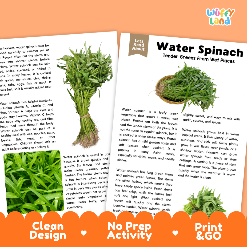 Water Spinach Reading Comprehension Passage and Questions Activity Pack