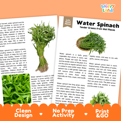 Water Spinach Reading Comprehension Passage and Questions Activity Pack