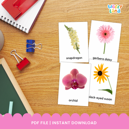Jenis-jenis Bunga Kartu Flash Kartu Kosakata Sped Autisme Visual Gambar