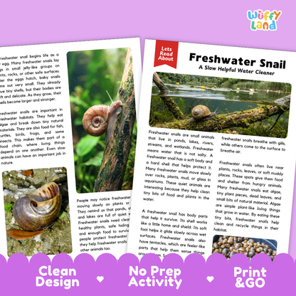 Freshwater Snail Reading Passage and Questions Worksheets with Answer Key