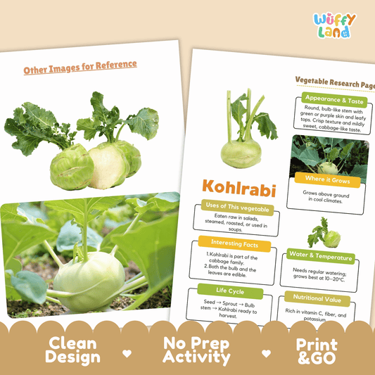 Kohlrabi Vegetable Research Page | Science Life Cycle & Nutrition Worksheet