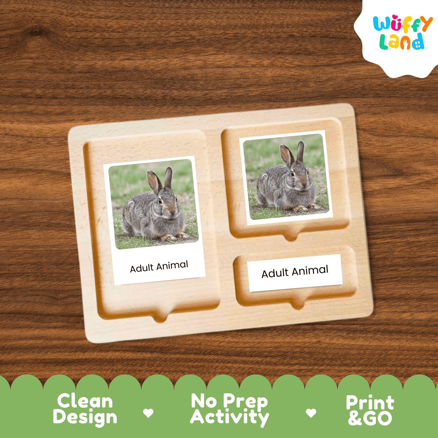 Rabbit Life Cycle Montessori 3-Part Cards - Science Zoology Flashcard