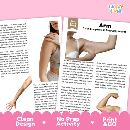 Teacher answer key page showing complete question solutions for Arm human body reading comprehension practice