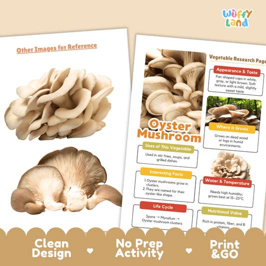 Oyster Mushroom Vegetable Research Activity Worksheet Healthy Eating Science