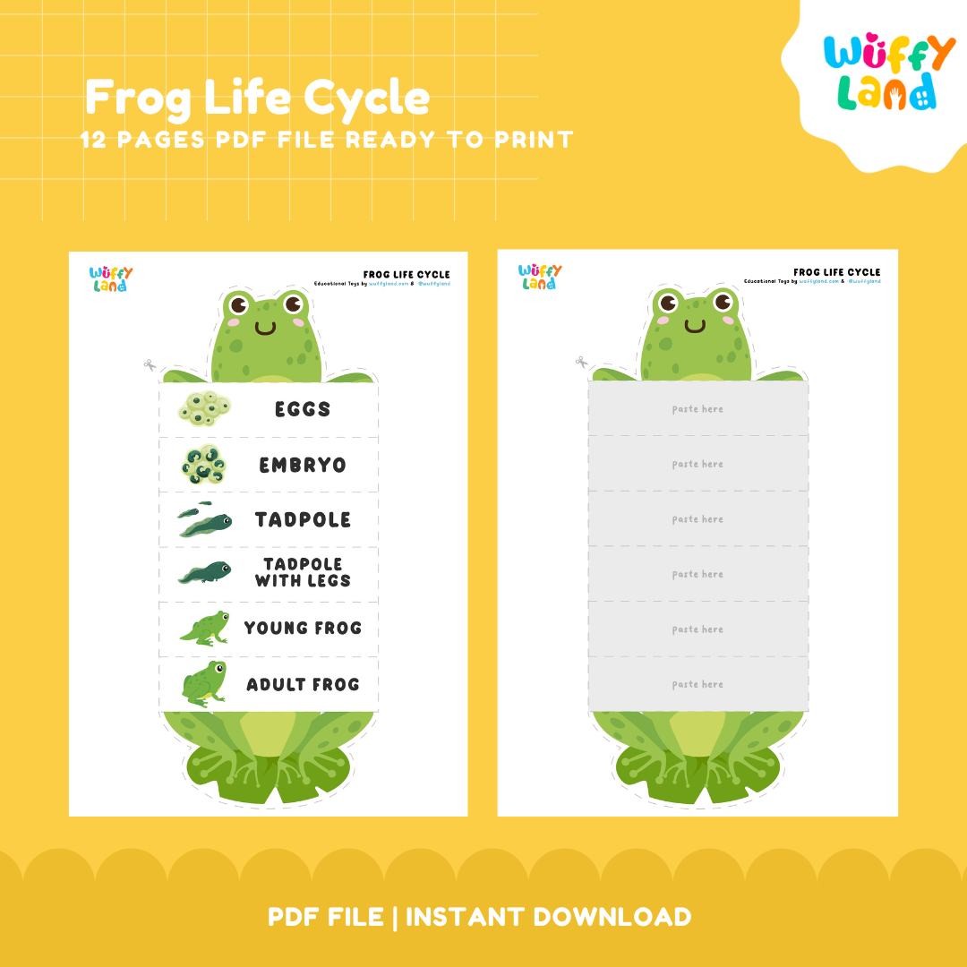 Frog Life Cycle Printable - Fun & Educational Science Activity for Kids